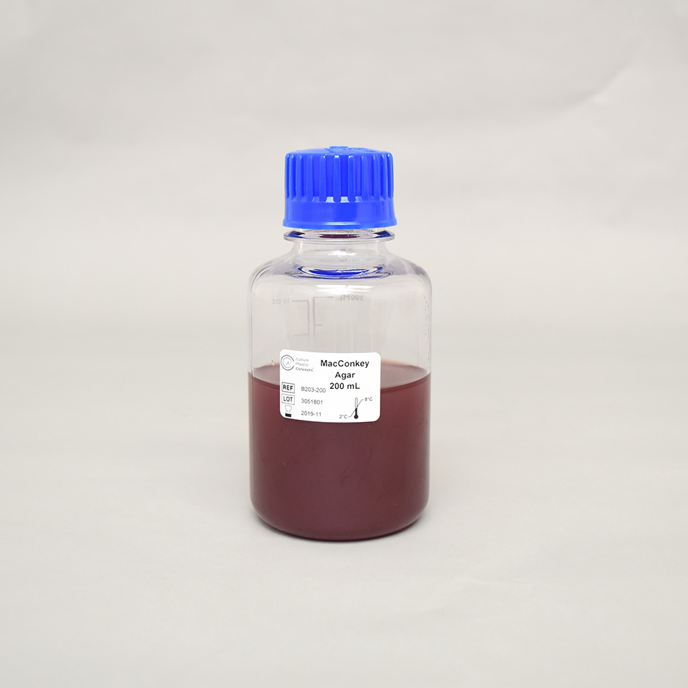 MacConkey Agar Culture Media Concepts